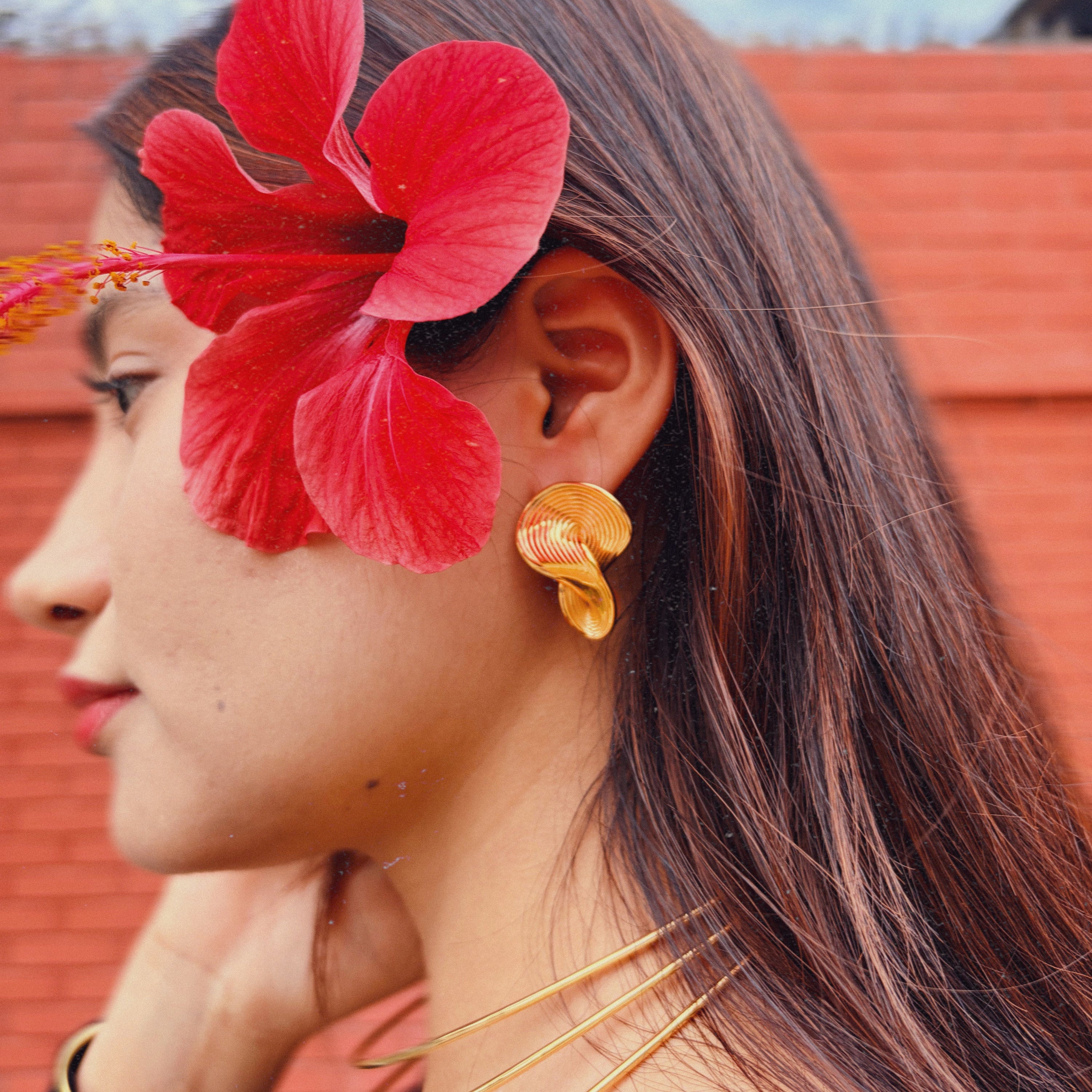 Aretes Vortex